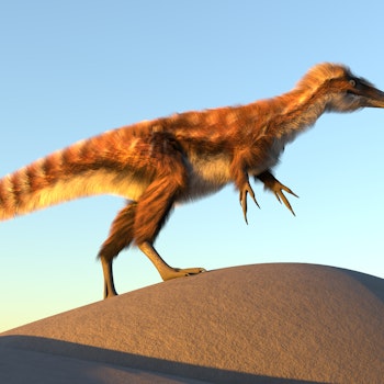 Compsognathus stock image