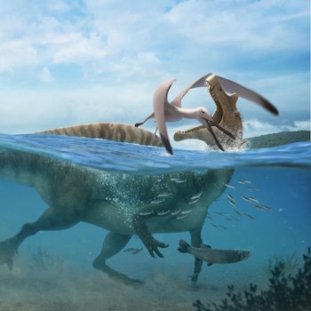 Araripe spinosaur stock image