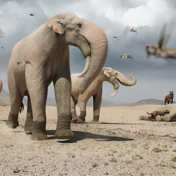 Deinotherium and Bear Dogs stock image