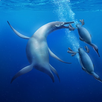 Hesperornis and plesiosaur stock image