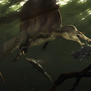 Spinosaurus Catching Mawsonia stock image