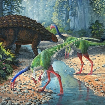 Ornithomimus and Panoplosaurus stock image