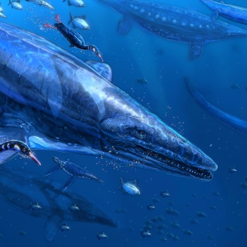 Tylosaurus stock image