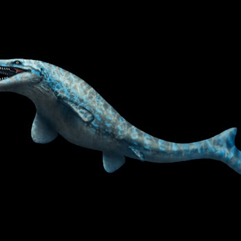 Tylosaurus stock image